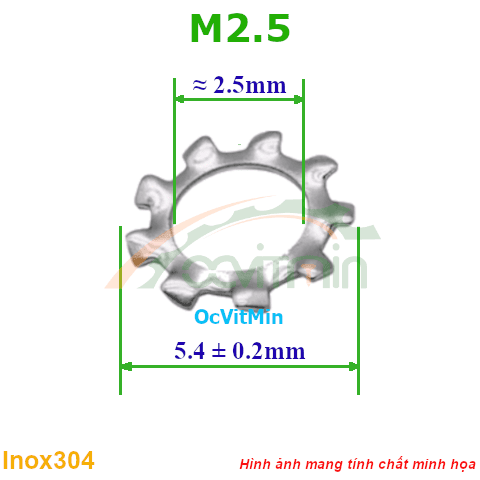 Vòng Đệm Gai Ngoài M2.5 Inox304 - Vong Dem Long Den Gai