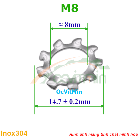 Vòng Đệm Gai Ngoài M8 Inox304 - Vong Dem Long Den Gai