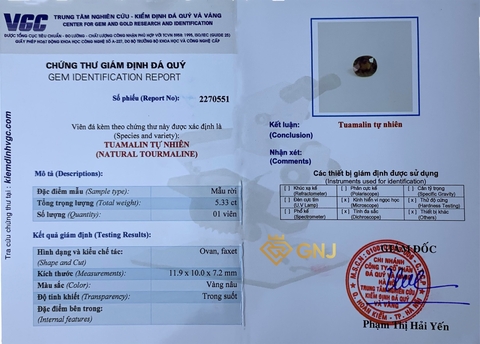 Đá tourmaline đa sắc