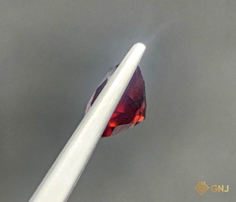 Viên Đá Garnet Tự Nhiên 2.85ct — Facet - GNJ