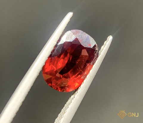 Viên Đá Garnet Tự Nhiên 2.8ct — Facet - GNJ