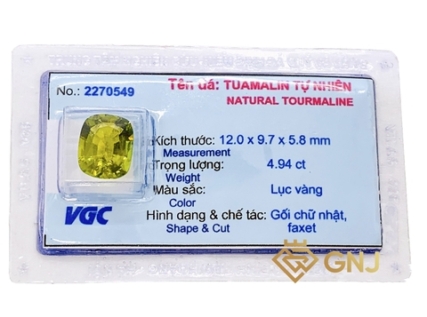 Đá Tourmaline Tài Lộc - GNJ