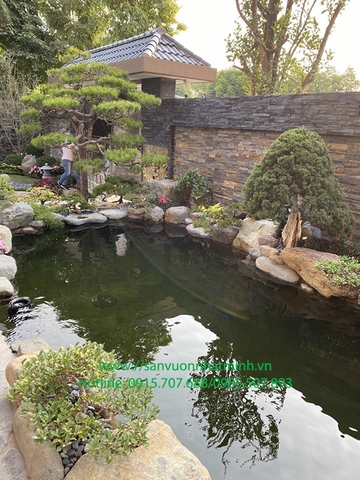 Thi công Hồ cá koi