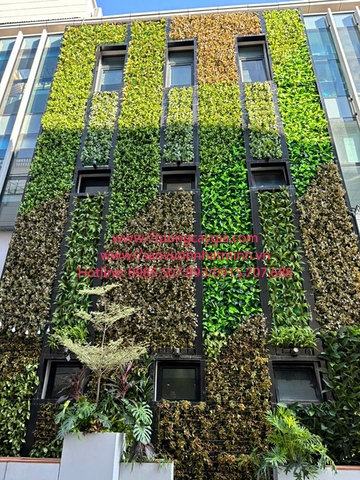 Thi công vách tường cây cao nhất Hà Nội