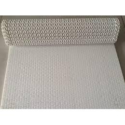 Băng Tải xích nhựa