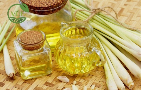 Công Dụng Của Tinh Dầu Sả