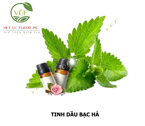 Tinh Dầu Bạc Hà