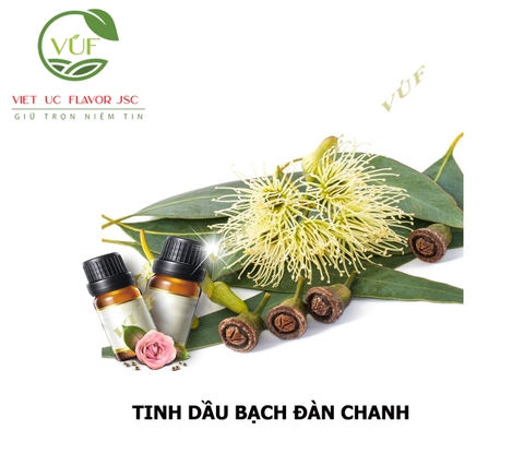 Tinh Dầu Bạch Đàn Chanh
