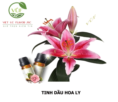 Tinh Dầu Hoa Ly