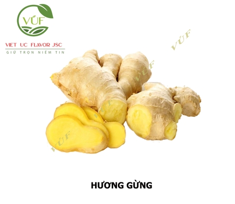 Hương Gừng