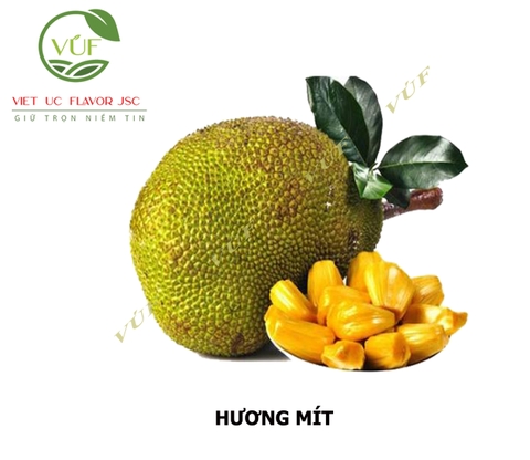 Hương Mít