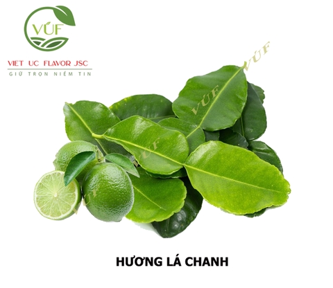 Hương Lá Chanh