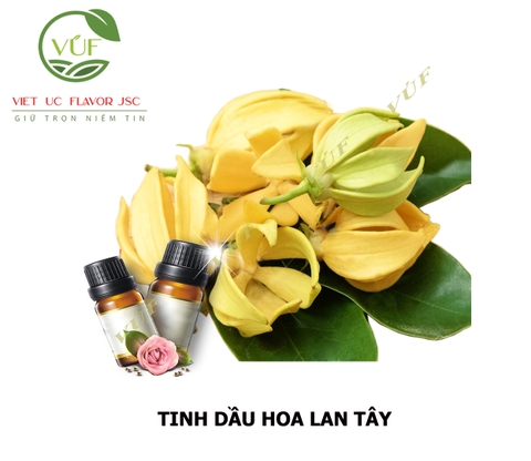 Tinh Dầu Hoa Lan Tây