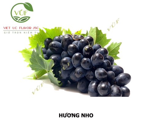 Hương Nho