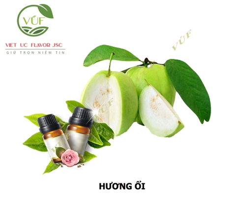 Hương Ổi