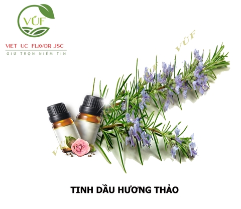 Tinh Dầu Hương Thảo