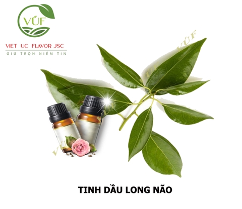 Tinh Dầu Long Não