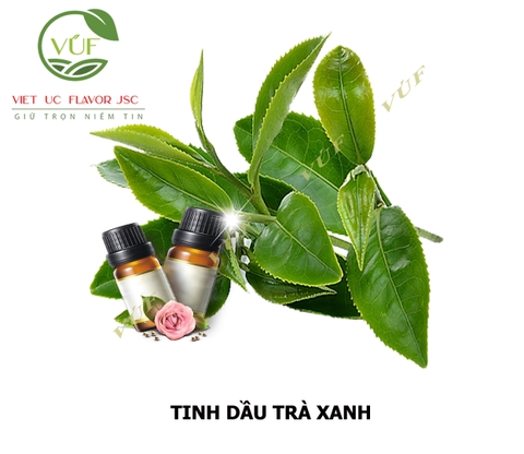 Tinh Dầu Trà Xanh