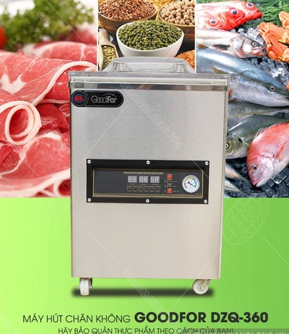 Máy hút chân không DZQ-360