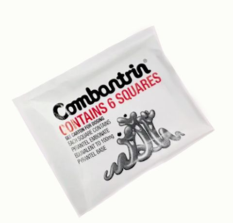 Thuốc sổ giun socola lẻ 1 vỉ