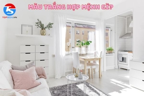 Màu trắng hợp mệnh gì? Sơn nhà màu trắng cần lưu ý điều gì?