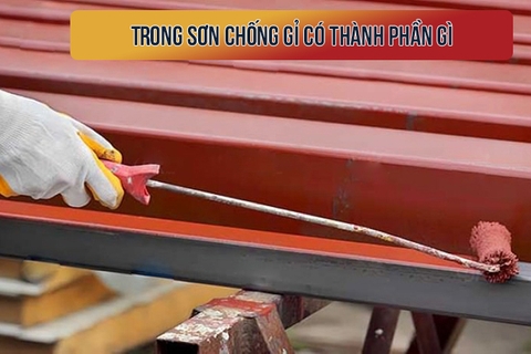 TRONG SƠN CHỐNG GỈ CÓ THÀNH PHẦN GÌ