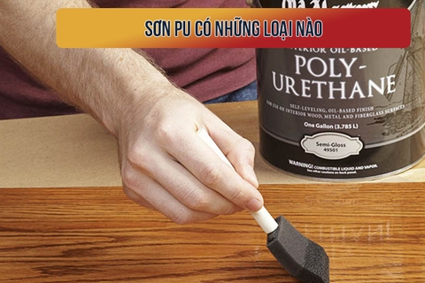SƠN PU CÓ NHỮNG LOẠI NÀO