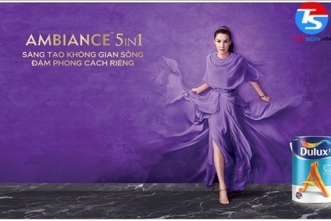 Top 4 sơn Dulux 5 trong 1 đang được ưa chuộng nhất hiện nay