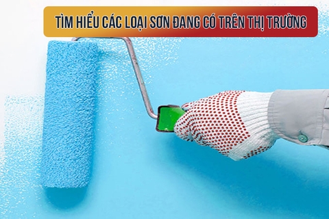 Tìm hiểu các loại sơn đang có trên thị trường