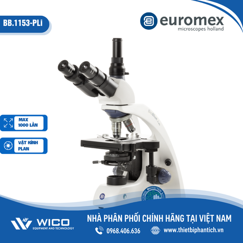 Kính hiển vi sinh học 3 mắt Euromex BB.1153-PLi | Độ phóng đại 1000X
