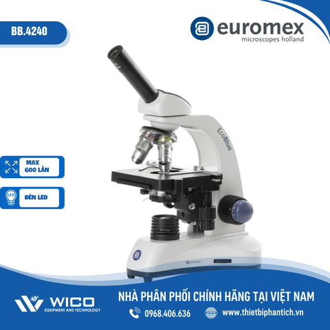 Kính hiển vi sinh học 1 mắt Euromex BB.4240  | Độ phóng đại 600X
