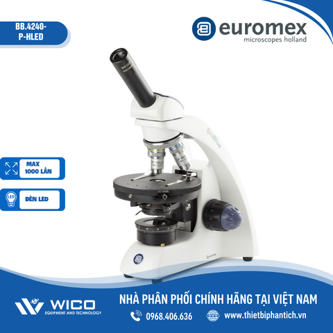 Kính hiển vi phân cực Euromex  BB.4240-P | Độ phóng đại 600X