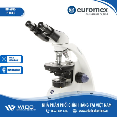 Kính hiển vi phân cực Euromex BB.4260-P | Độ phóng đại 1000X