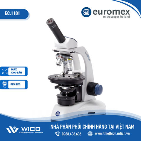 Kính hiển vi sinh học Euromex EC.1101 | Độ phóng đại 1000X