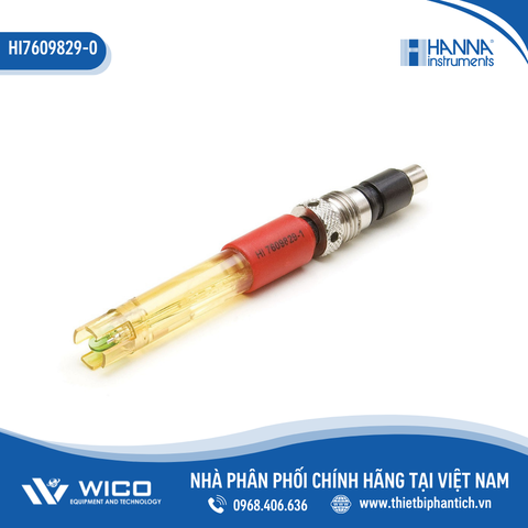 Cảm Biến pH Cho Máy HI9829 Hanna HI7609829-0