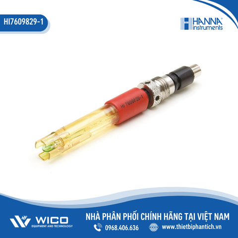 Cảm Biến pH/ORP Cho Máy Hanna HI9829 HI7609829-1