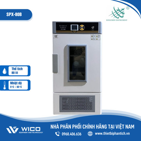 Tủ Ấm Lạnh Xingchen Trung Quốc SPX-B (Buồng Inox)