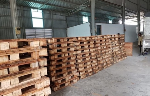 ĐÓNG PALLET GỖ THÔNG THEO YÊU CẦU