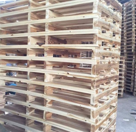 Pallet gỗ tràm