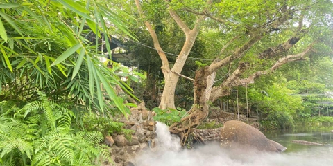 Hành trình ý nghĩa của Gia Đình Phật Tử Chùa Phổ Minh Nha Trang tại Suối Mơ Dốc Tình