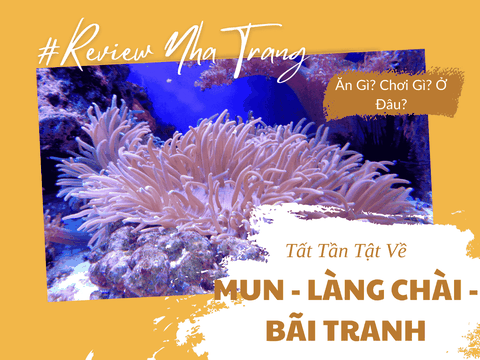 Hòn Mun Làng Chài Bãi Tranh – Hành Trình Khám Phá 3 Đảo Tuyệt Vời Tại Nha Trang
