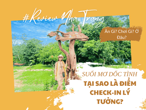 Tại sao Suối Mơ Dốc Tình là điểm check-in lý tưởng?