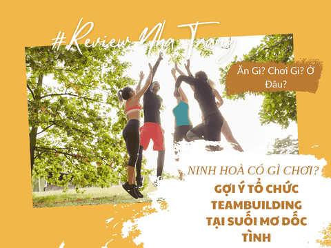Ninh Hòa Có Gì Chơi? Gợi Ý Tổ Chức Teambuilding Tại Suối Mơ Dốc Tình