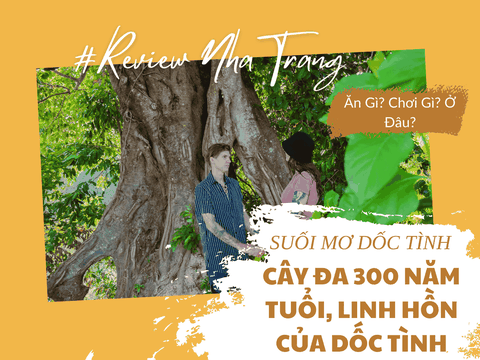 Cây đa 300 năm tuổi - Linh hồn của Suối Mơ Dốc Tình