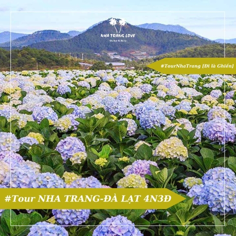 Tour Đà Lạt [Khởi hành từ Nha Trang] 2N1Đ