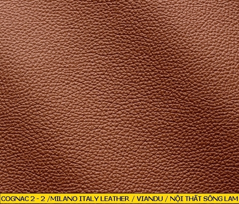 Milano Italy Leather