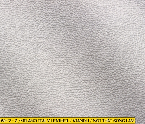 Milano Italy Leather