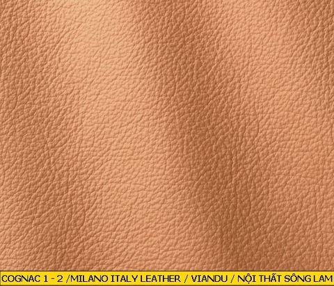 Milano Italy Leather