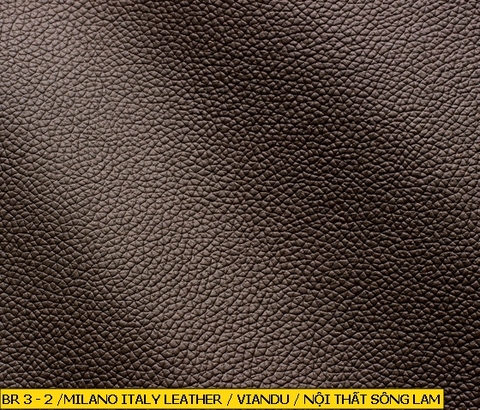 Milano Italy Leather