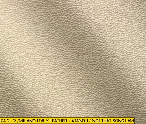 Milano Italy Leather